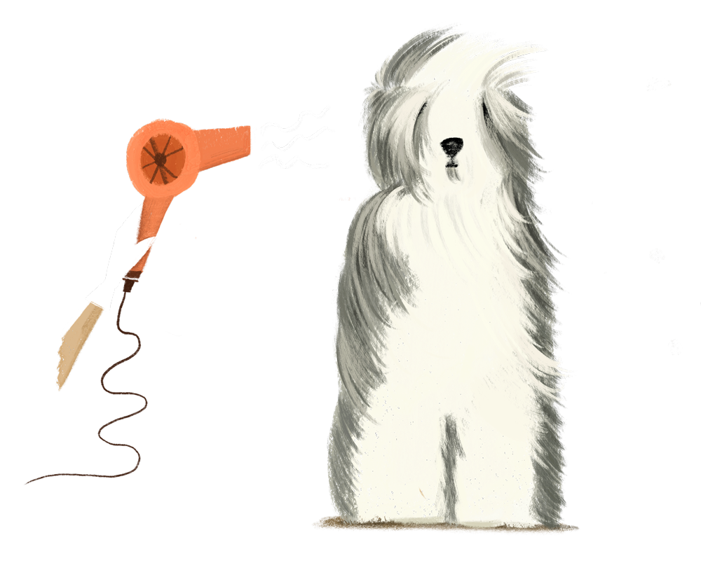 Chique by JJ